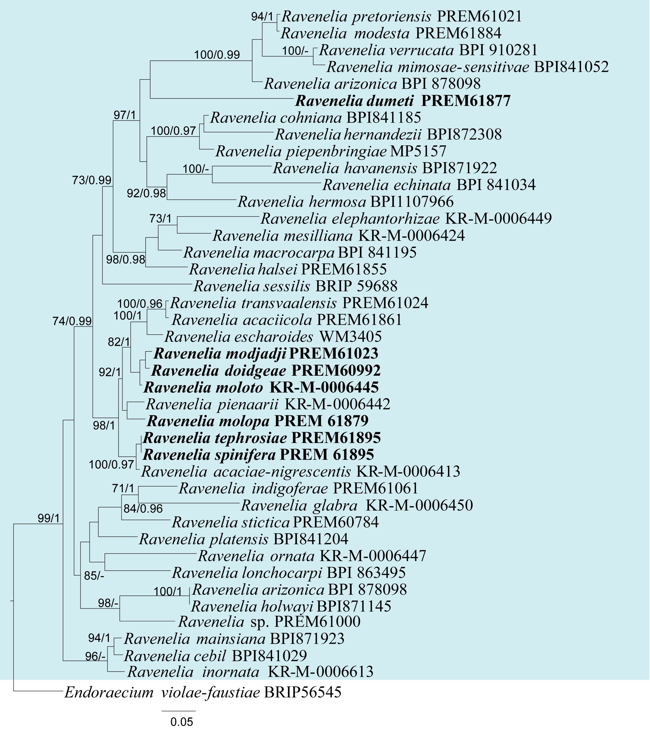 Figure 42
